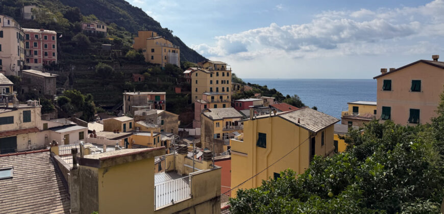 5 terre – Riomaggiore – ampio trilocale con terrazza vivibile