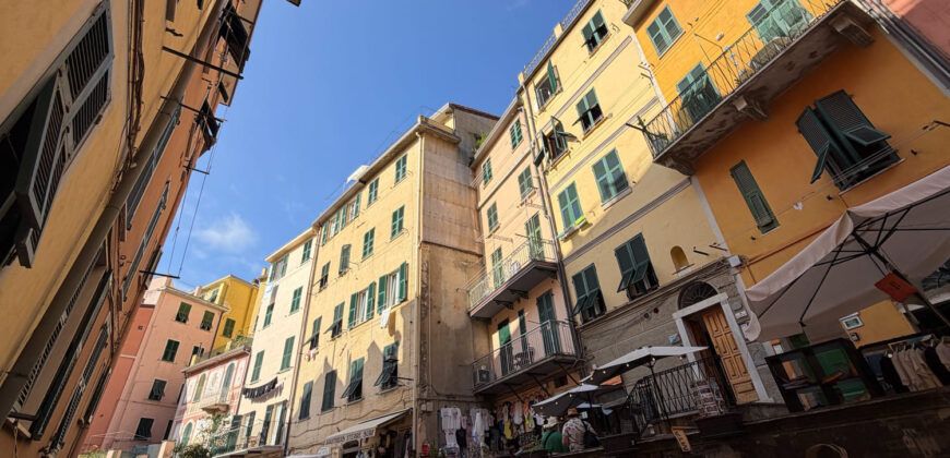 5 terre – Riomaggiore – ampio trilocale con terrazza vivibile