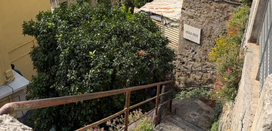 5 terre – Riomaggiore – ampio trilocale con terrazza vivibile